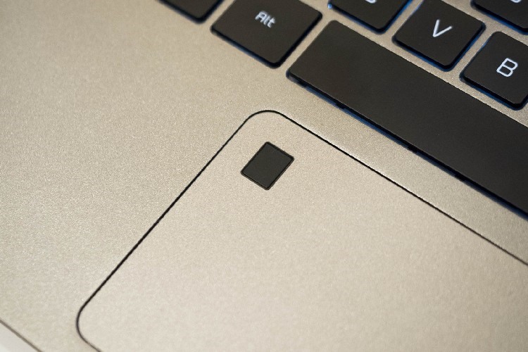 Bảo mật vân tay của laptop HP có thực sự hiệu quả không?