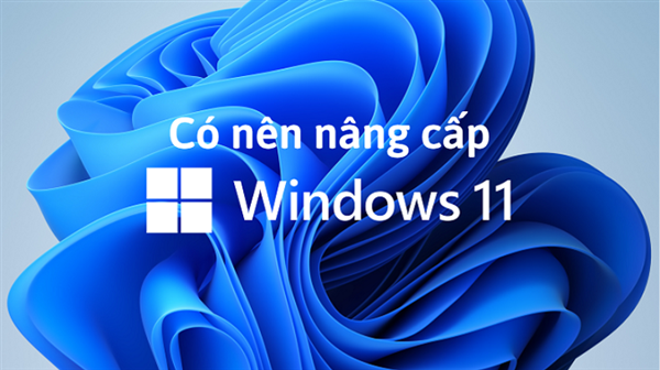 Có nên nâng cấp máy tính lên Windows 11 không?